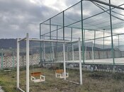 Satılır 18 otaqlı həyət evi/bağ evi 350 m², photo 4 from 8