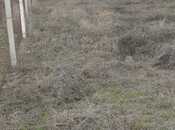 Объявление №5738341 - Агдам, Агдам, 20 сот