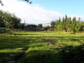 Объявление №5738818 - Шеки, Шеки, 21 сот