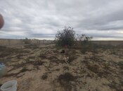 Satılır  torpaq 12 sot, Sea Breeze q., photo 3 from 8