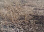 Elan №5739107 - Gədəbəy, Gədəbəy, 26 sot