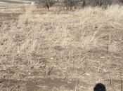 Продаётся  участок 26 сот, Кедабек р., photo 6 from 8