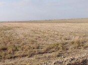 Satılır  torpaq 3 300 sot, photo 2 from 2