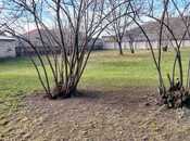 Satılır  torpaq 14 sot, photo 5 from 8