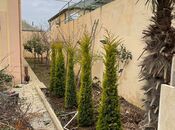 Satılır 7 otaqlı həyət evi/bağ evi 450 m², Xocəsən m., photo 3 from 8