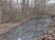 Satılır  torpaq 259 sot, photo 4 from 8