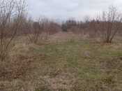 Satılır  torpaq 259 sot, photo 3 from 8