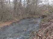 Satılır  torpaq 259 sot, photo 6 from 8