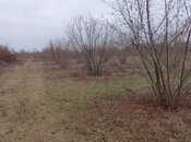 Satılır  torpaq 259 sot, photo 2 from 8