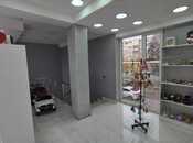 Продаётся  объект 110 м², м. Шах Исмаил Хатаи, photo 7 from 8