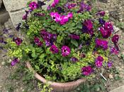 Продаётся 6-комн. дом/дача 192 м², пос. Джейранбатан, photo 4 from 8