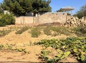 Продаётся  участок 2 сот, пос. Горадил, photo 4 from 7