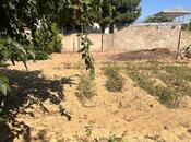 Продаётся  участок 2 сот, пос. Горадил, photo 5 from 7