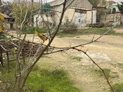 Продаётся  участок 15 сот, пос. Шихов , photo 4 from 8