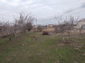 İcarəyə verilir  torpaq 8.7 sot, Novxanı q., photo 5 from 8