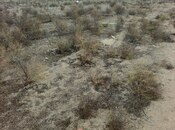 Продаётся  участок 6 сот, пос. Зире, photo 4 from 5