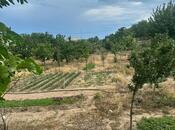 Продаётся  участок 39 сот, пос. Бильгях, photo 5 from 8