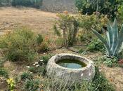 Продаётся  участок 39 сот, пос. Бильгях, photo 8 from 8