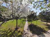 Продаётся  участок 11 сот, м. Насими, photo 3 from 4