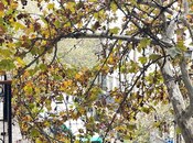 Сдаётся 4-комн. офис 155 м², м. 28 мая, photo 7 from 8