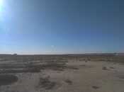 Продаётся  участок 553 сот, пос. Мамедли, photo 2 from 8