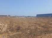 Satılır  torpaq 50 sot, Binə q., photo 5 from 5