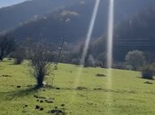 Satılır  torpaq 12 sot, photo 2 from 8