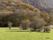 Satılır  torpaq 12 sot, photo 6 from 8