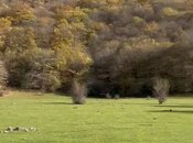 Satılır  torpaq 12 sot, photo 5 from 8