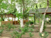 Obyekt - Hacıqabul - 10000 m²