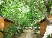 Obyekt - Hacıqabul - 10000 m²