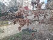 Продаётся  участок 2.5 сот, м. Кара Караев, photo 2 from 7