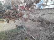 Продаётся  участок 2.5 сот, м. Кара Караев, photo 7 from 7