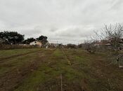 Продаётся  участок 42 сот, пос. Мардакан, photo 3 from 6