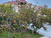Satılır 6 otaqlı həyət evi/bağ evi 200 m², Qaraçuxur q., photo 3 from 8
