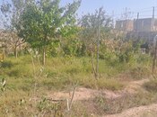 Elan №5772577 - Bakı, Türkan q., 1 otaqlı, 20 m²