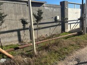 Объявление №5774008 - Баку, пос. Sea Breeze, 5.5 сот