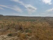 Продаётся  участок 98 сот, пос. Масазыр, photo 8 from 8