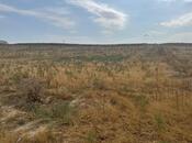 Продаётся  участок 98 сот, пос. Масазыр, photo 2 from 8