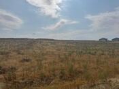 Продаётся  участок 98 сот, пос. Масазыр, photo 7 from 8