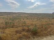 Продаётся  участок 98 сот, пос. Масазыр, photo 6 from 8