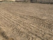 Продаётся  участок 9 сот, пос. Нардаран, photo 2 from 5
