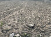 Продаётся  участок 9 сот, пос. Нардаран, photo 4 from 5