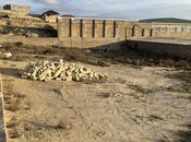 Elan №5774621 - Bakı, Şıxov q., 12 sot