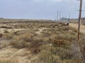 Продаётся  участок 150 сот, пос. Зых, photo 5 from 5