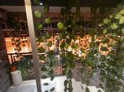 Продаётся  объект 240 м², м. Ази Асланов, photo 5 from 8