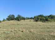 Satılır  torpaq 80 sot, photo 2 from 7