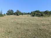 Satılır  torpaq 80 sot, photo 7 from 7