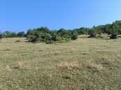 Satılır  torpaq 80 sot, photo 4 from 7