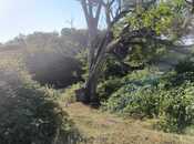 Satılır  torpaq 80 sot, photo 6 from 7